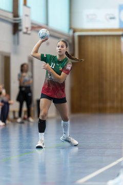 Bild 42 - wBJ HSG Kremperheide/Muensterdorf - HSG Joerl-Doppeleiche Vioel : Ergebnis: 34:23